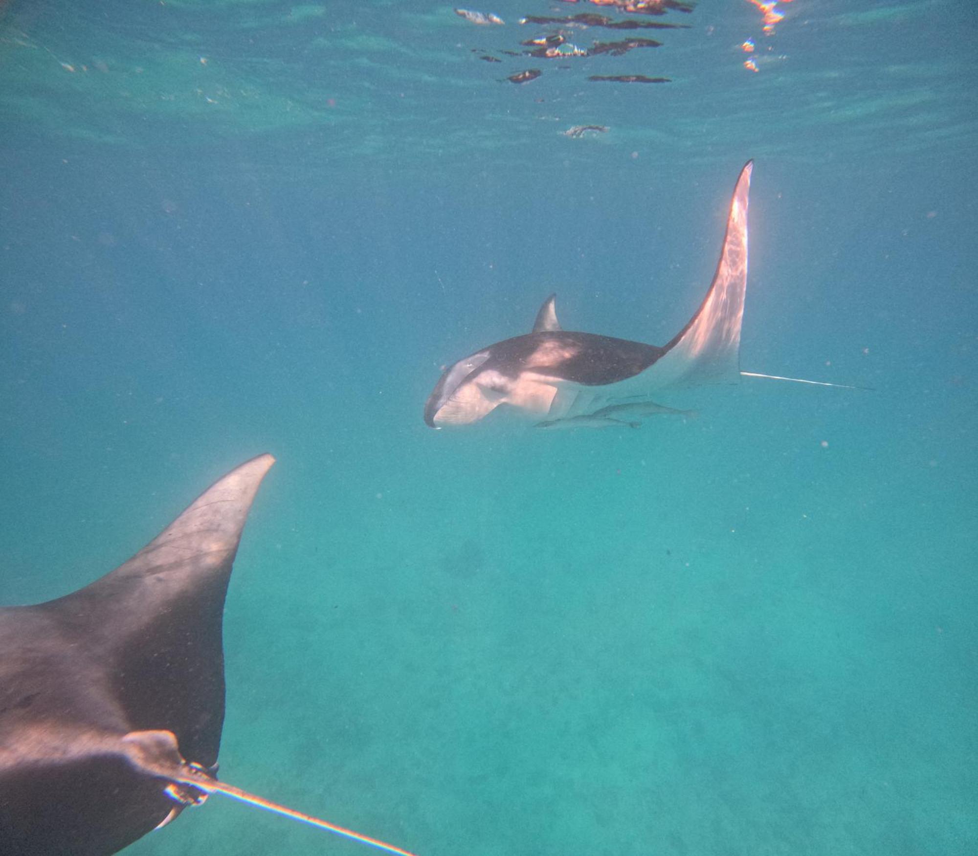La Palma Suites Ukulhas Dış mekan fotoğraf